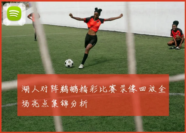 湖人对阵鹈鹕精彩比赛录像回放全场亮点集锦分析