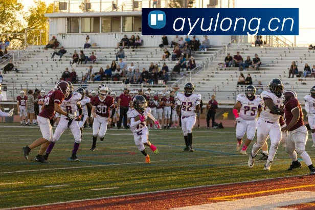 乐鱼体育服务体系